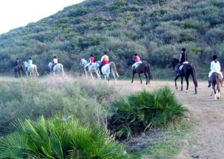 Equitazione 
